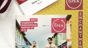 Singapore International Festival of Art, ou ce que penser un festival veut dire